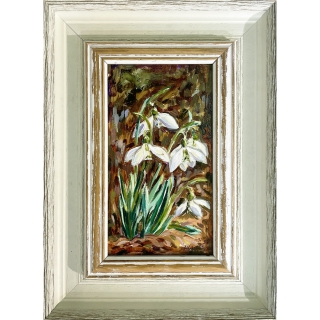 Горски кокичета